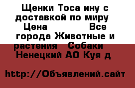 Щенки Тоса-ину с доставкой по миру › Цена ­ 68 000 - Все города Животные и растения » Собаки   . Ненецкий АО,Куя д.